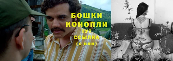 твердый Бежецк